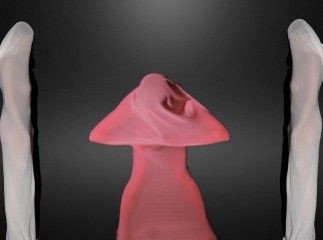 Ayurveda for Sexual Problems in Men