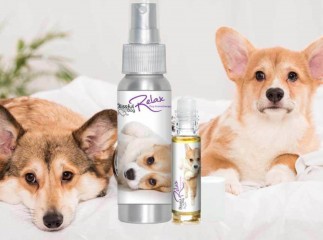 Aromatherapy for Men Who Have Pets