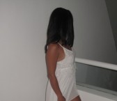 Moncton Escort MissStyles Adult Entertainer, Adult Service Provider, Escort and Companion.