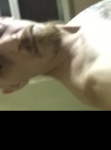 Escort OHguy614 Adult Entertainer in United States, Adult Service Provider, Escort and Companion.