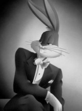 Ottawa Escort Casanova Adult Entertainer in Canada, Adult Service Provider, Escort and Companion.