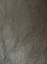 Montreal Escort Hotguy514 Adult Entertainer in Canada, Adult Service Provider, Escort and Companion.