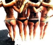 Kingston Escort TouchOfClass Adult Entertainer in Canada, Female Adult Service Provider, Escort and Companion.