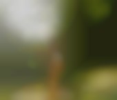 Toronto Escort GISELE  SFT AGENCY Adult Entertainer in Canada, Female Adult Service Provider, Escort and Companion. - photo 9