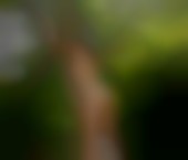 Toronto Escort GISELE  SFT AGENCY Adult Entertainer in Canada, Female Adult Service Provider, Escort and Companion. - photo 3