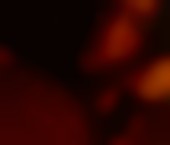 Saskatoon Escort Katie Adult Entertainer in Canada, Female Adult Service Provider, Escort and Companion. - photo 1