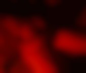 Saskatoon Escort Katie Adult Entertainer in Canada, Female Adult Service Provider, Escort and Companion. - photo 3