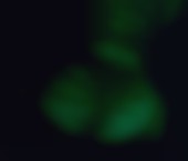 Saskatoon Escort Katie Adult Entertainer in Canada, Female Adult Service Provider, Escort and Companion. - photo 2