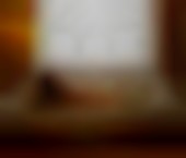 Toronto Escort LETICIA  EVA Adult Entertainer in Canada, Female Adult Service Provider, Escort and Companion. - photo 1