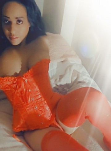 Toronto Escort sweetbee Adult Entertainer in Canada, Female Adult Service Provider, Escort and Companion.